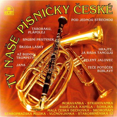 Ty naše písničky české Various CD