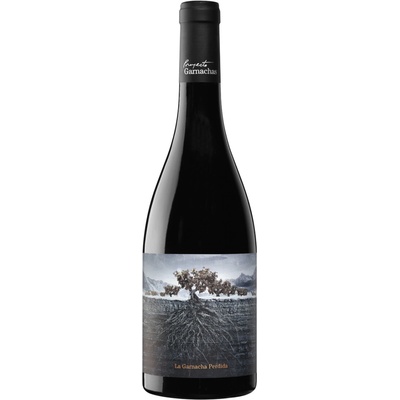 Proyecto Garnachas La Garnacha Perdida del Pirineo červené 15% 0,75 l (čistá fľaša)
