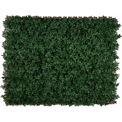 SCHEFFLERA - DARK GREEN EXT, rozmer 1,0x2,0 m