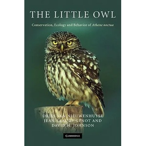 Little Owl | Dries Van Nieuwenhuyse (2009)