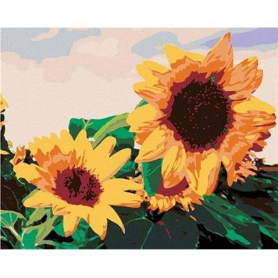 zuty Malování podle čísel Slunečnice I. 50 x 40 cm vypnuté plátno na rám