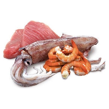 N&D Ocean Cat Adult Tuna & Squid & Shrimps 80 g