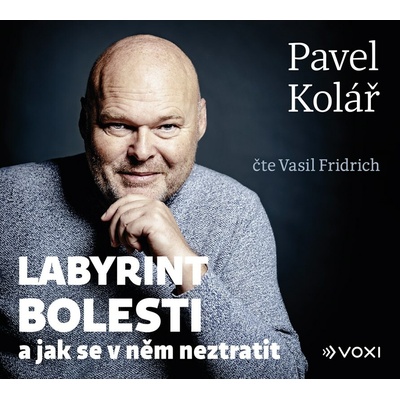 Labyrint bolesti - Pavel Kolář