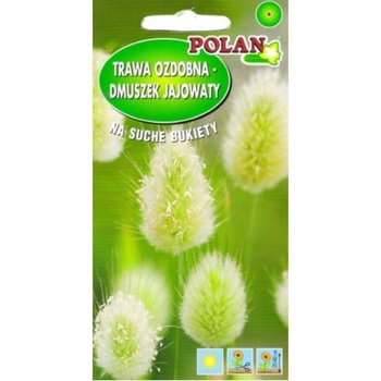 Plátenček vajcovitý okrasná tráva na suché kytice a semená 0,5 g Polan