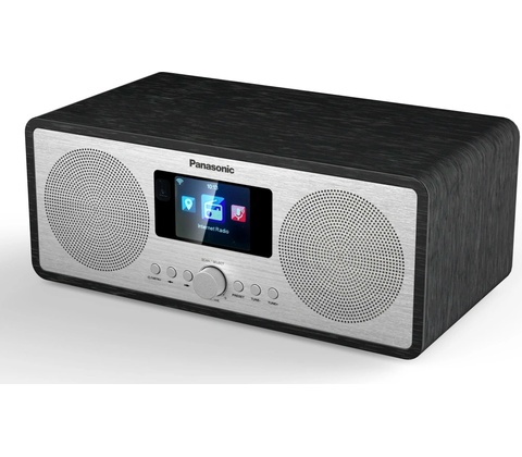 Panasonic RF-D40EG-K