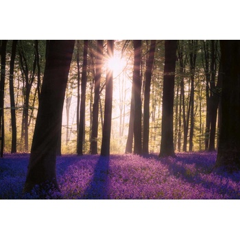 DIMEX ART s. r. o Флизелинов фототапет камбанки в гората ii. 375 x 250 см