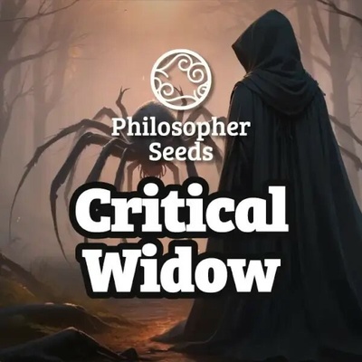 Philosopher Seeds Critical Widow semienka neobsahujú THC 3 ks