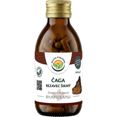 Salvia paradise Čaga rezavec šikmý 120 tobolek