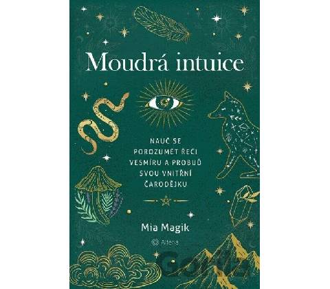 Moudrá intuice -