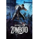 Project Zomboid