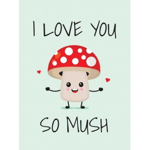 I Love You So Mush (ISBN: 9781837994472)