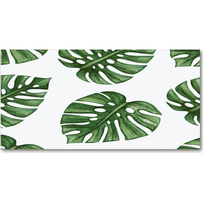 Foto obraz sklenený horizontálny Monstera 100x50 cm