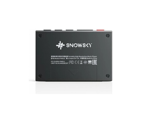 FiiO SNOWSKY Echo Mini