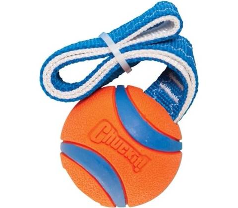 Chuckit! Ultra Tug M