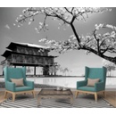 Coloriqa fototapeta Pagoda a Sakura Japonsko 1404 Materiál: Vinyl Premium, Rozměr: 152,5 x 104 cm M