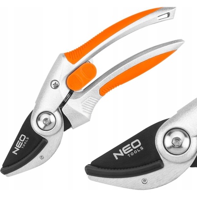 NEO 15-213