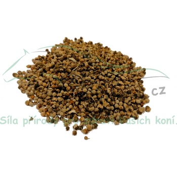 Koňské bylinky Drmek obecný semeno celé Agnus castus semen 1 kg