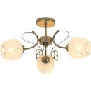 Image 1 of Rábalux Fauna 5098