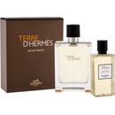Kosmetické sady Hermes Terre D Hermes EDT pro muže 100 ml + sprchový gel 80 ml dárková sada