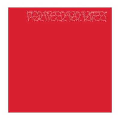 Nicolas Jaar - Pomegranates 2 LP