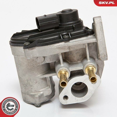 AGR-Ventil ESEN SKV 14SKV086
