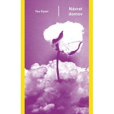 Návrat domov - Yaa Gyasi