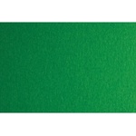 Fabriano Картон Colore, 50 x 70 cm, 140 g/m2, № 231, зелен (43303231/2_VERDE)