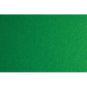 Fabriano Картон Colore, 50 x 70 cm, 140 g/m2, № 231, зелен (43303231/2_VERDE)
