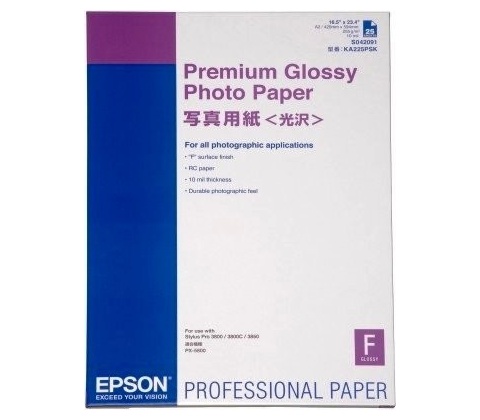 Epson C13S041379
