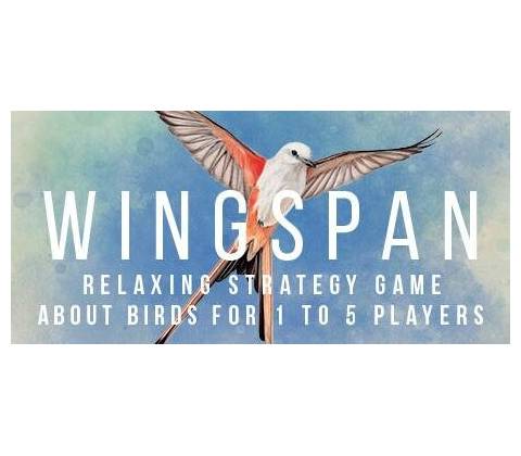 Wingspan
