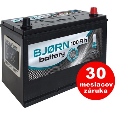 Bjorn 12V 100Ah 750A BA1010
