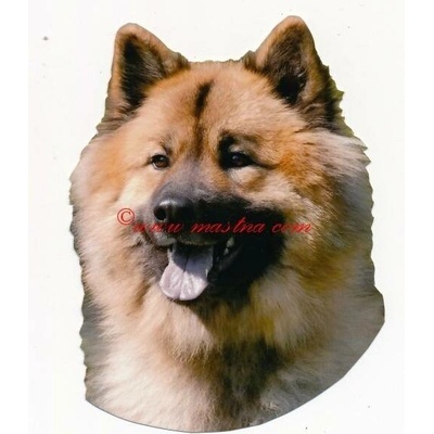 Samolepka eurasier - archiv 522