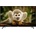 TCL 43DP600