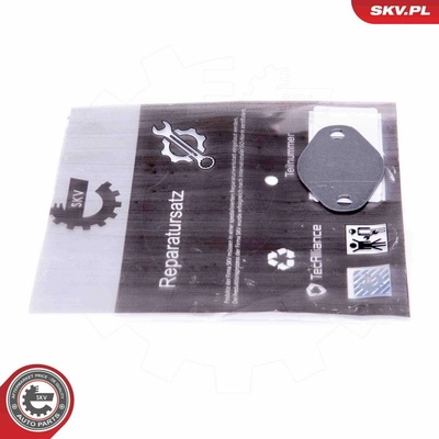 Súprava na opravu, ventil AGR ESEN SKV 14SKV547