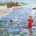 GENESIS - FOXTROT LP