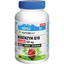 Swiss Naturevia Koenz.Q10 Forte100 mg 120 kapslí