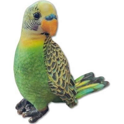 andulka zelená 23 cm