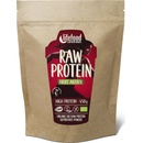 Lifefood Raw ovocný proteín BIO 450 g