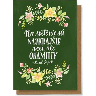 Chaukiss Na svete nie sú najkrašie veci, ale okamihy