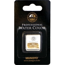 Akvarel v půlpánvičce Mungyo 850 Burnt umber
