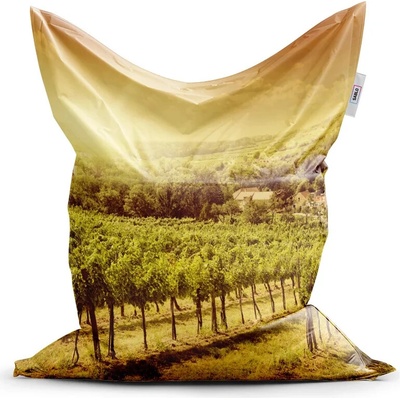 Sablio Sedací vak Vinohrad 150x100 cm
