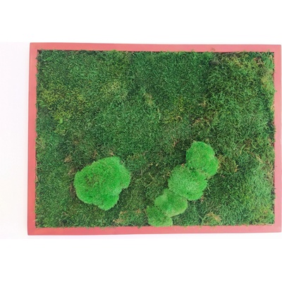Machový obraz z plochého + kopčekového machu 50cm x 60cm