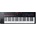 M-Audio Oxygen Pro 49 MIDI