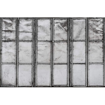 DIMEX ART s. r. o Флизелинов фототапет метални врати на навеси 375 x 250 см