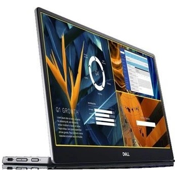 Dell P1424H