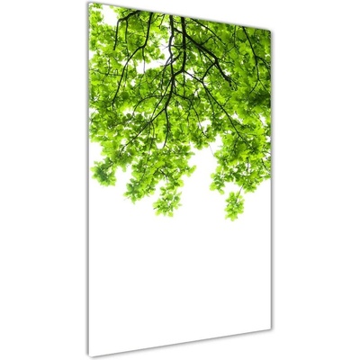 Vertikálny foto obraz sklo tvrdené Koruna stromov 50x100 cm