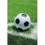 Jerry Fabrics Зелено детско одеяло от флийс 100x150 cm Football - Jerry Fabrics (24BL045)