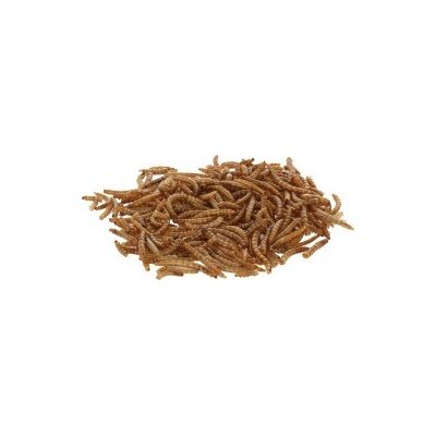 Sušené larvy potemníka moučného 900 g Kerbl