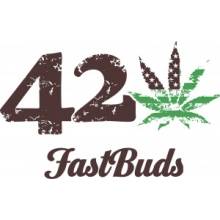 FastBuds LSD-25 AUTO semena neobsahují THC 3 ks