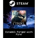 Citadel: Forged With Fire